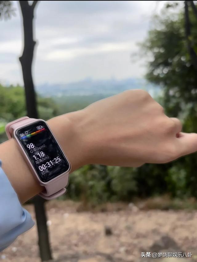 广东的秋天:藏在暖阳里的温柔序章