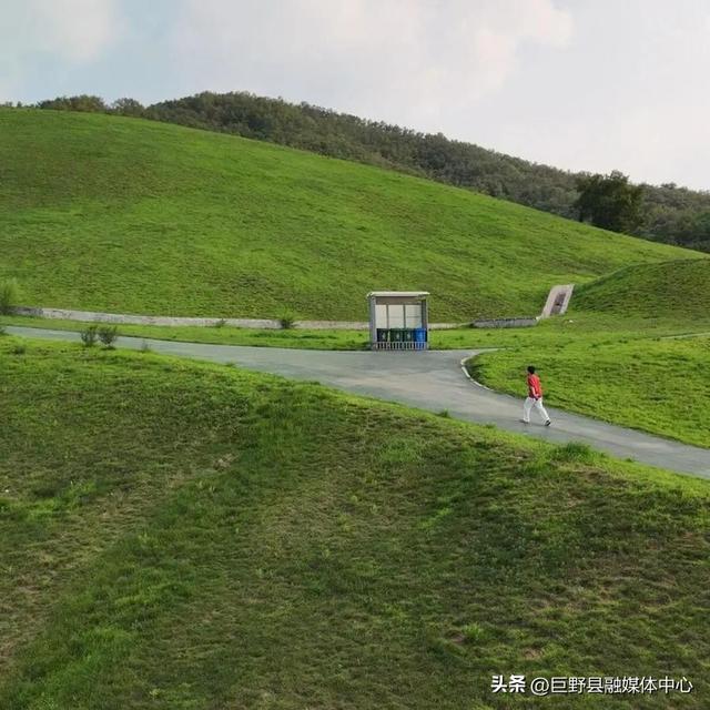 绝美出片打卡地！一棵全泰安最孤独的树，就在这里……
