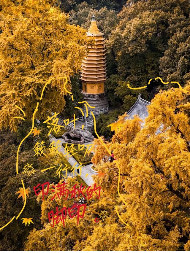 盘山 “红” 了！