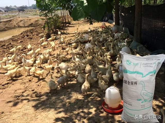 52年前，那个轰动一时的“白卷英雄	”张铁生，如今过得怎样了？