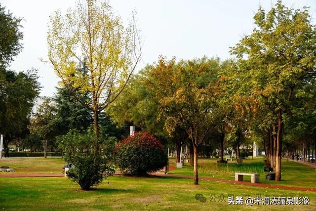陕西渭南：天晴了 高新区时代广场秋色盎然
