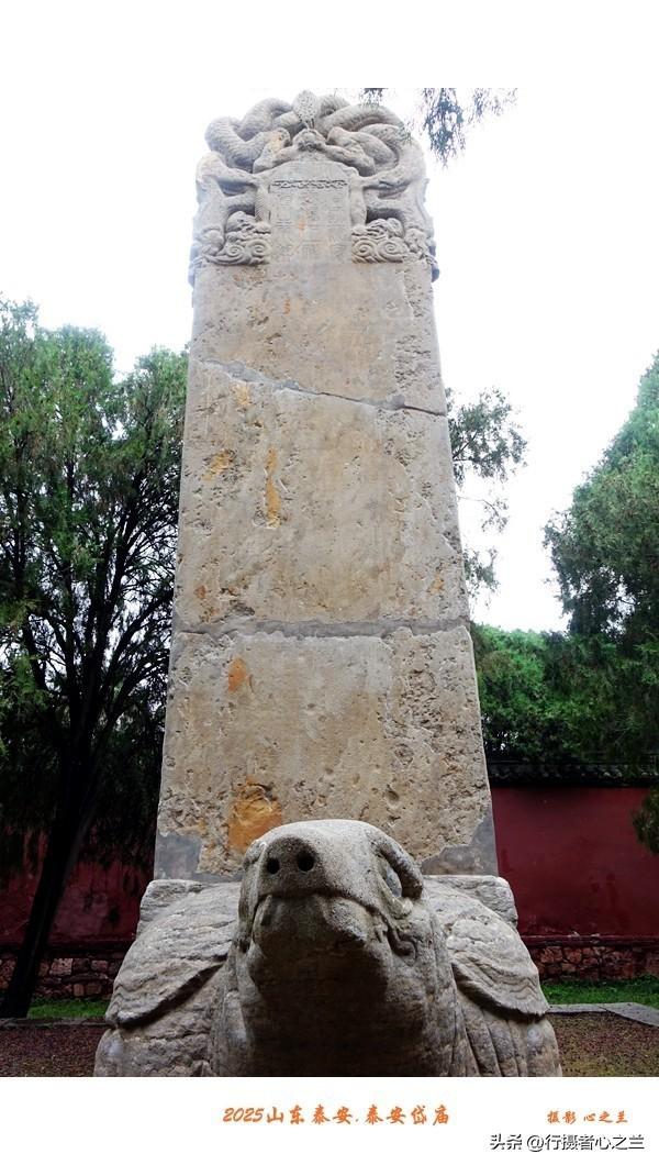山东行游影记（307）—泰安岱庙（三）