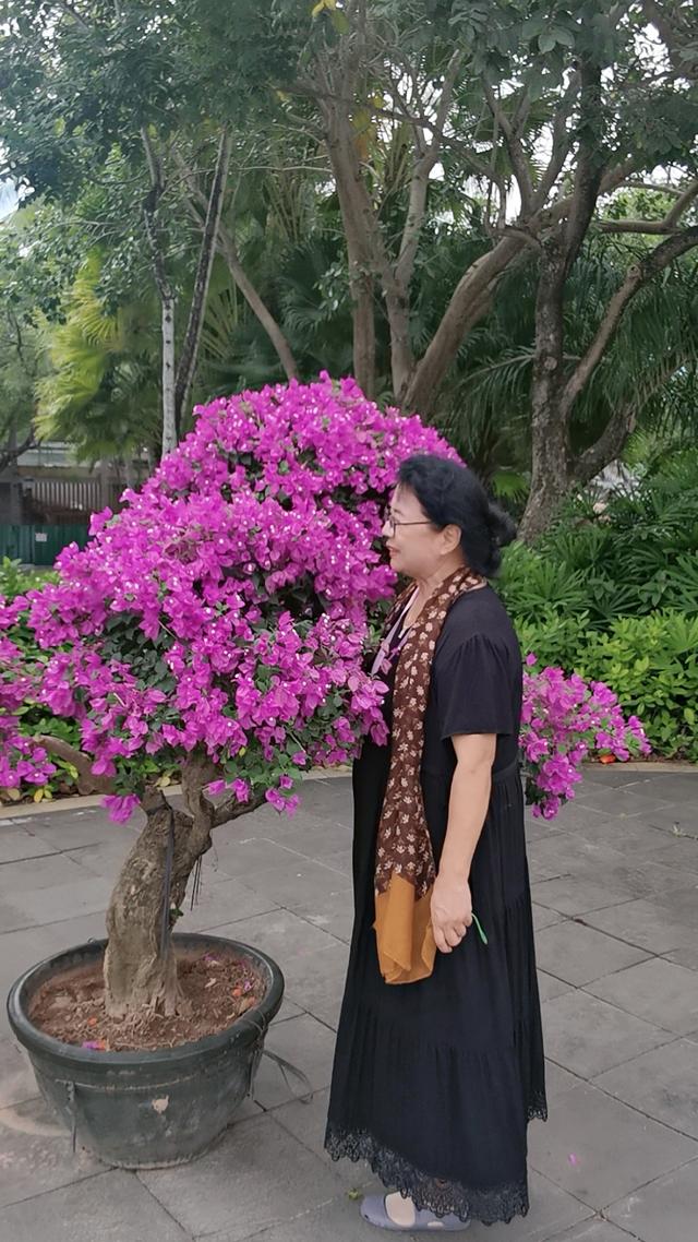 到南方的风中流浪