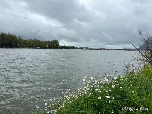 假日徒步，走昆明滇池草海之开合浮桥、雨中打卡新晋网红地，休闲