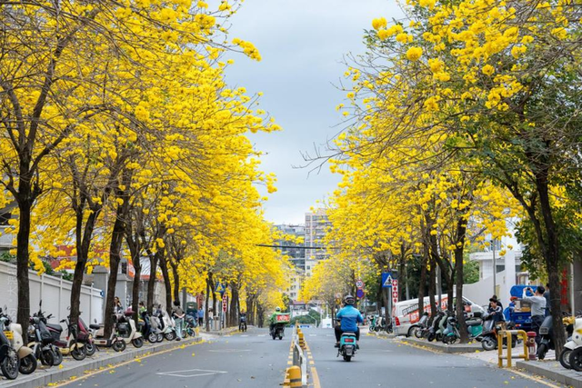晶报特别报道 | 阳台山：藏过烽火，长出新城