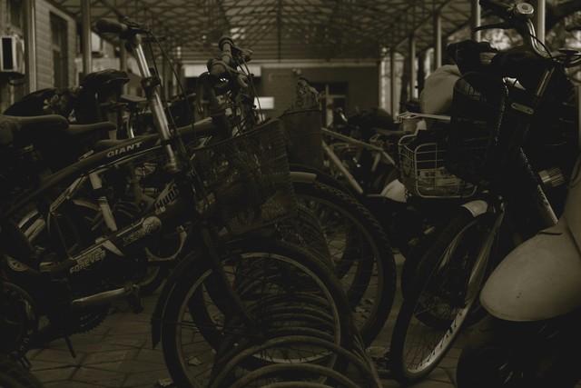 老婆的龙凤胎闺蜜，一个温柔一个火辣，她们说想和我玩个游戏