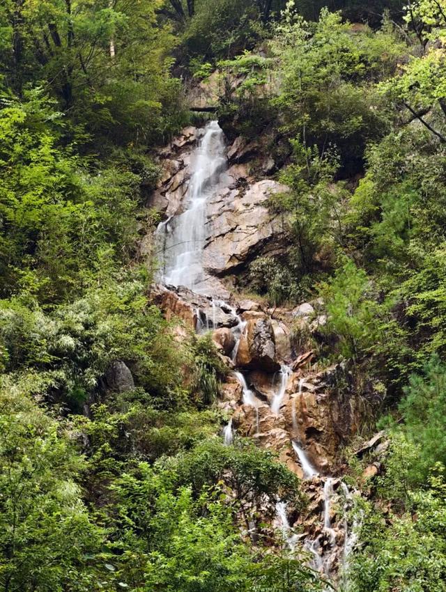 守护生态秘境——走进徽县三滩森林公园