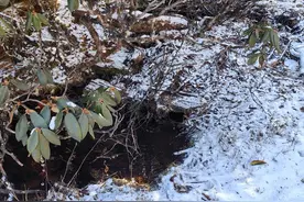 女人如此给你发消息，言外之意就是想你了图片