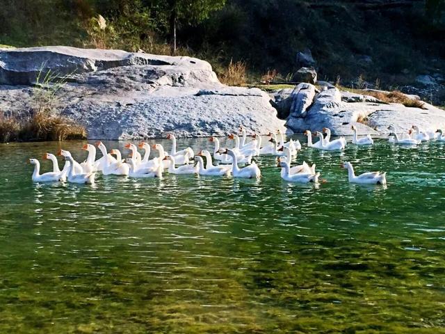 初冬赴高桥：山水藏诗 古迹含情