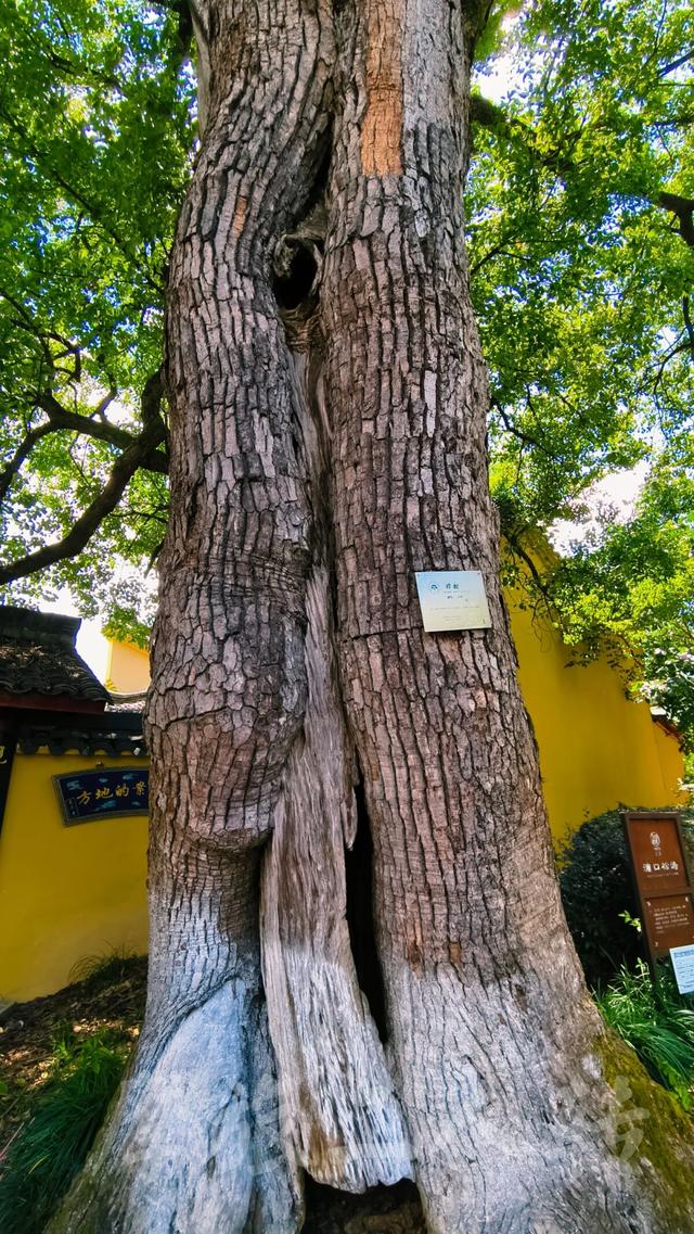 皖浙摩旅二人转——桐庐荻浦村篇
