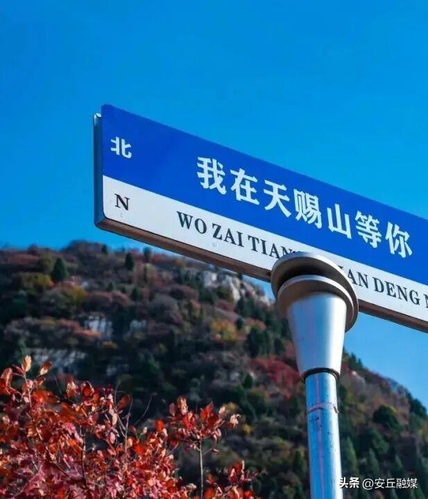 国庆自驾 “齐鲁天路”，上新活动全攻略出炉！