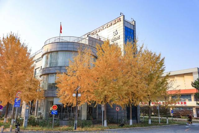 藏不住的惊艳！这座公园正处颜值巅峰