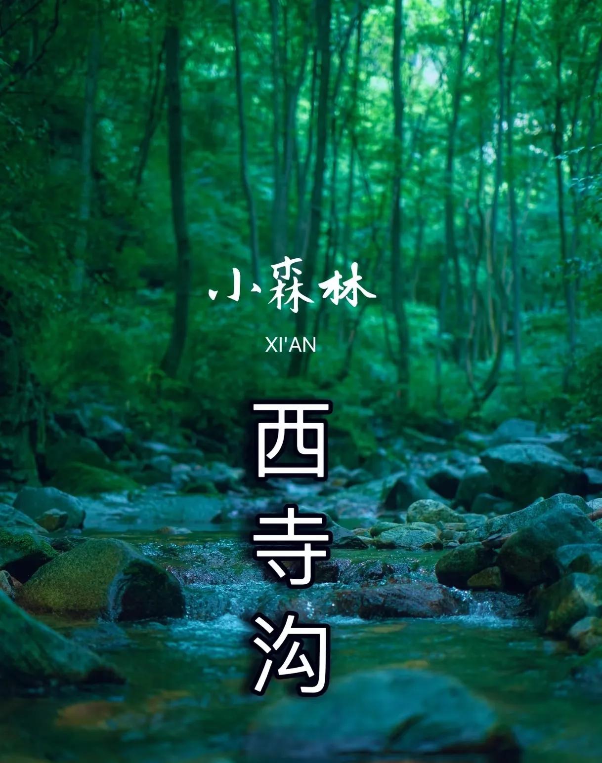 秦嶺南山溫泉度假山莊_西安度假山莊_太平峪西寺溝避暑山莊