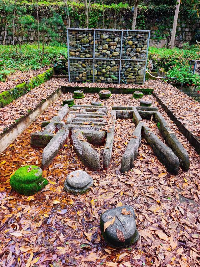 佛坪西岔河镇漫游记:在鹿鸣、稻香与古银杏间邂逅秦岭深处的诗意