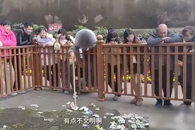 2名女子将乐山大佛祈福池100元钞票扒出拿走，景区回应图片