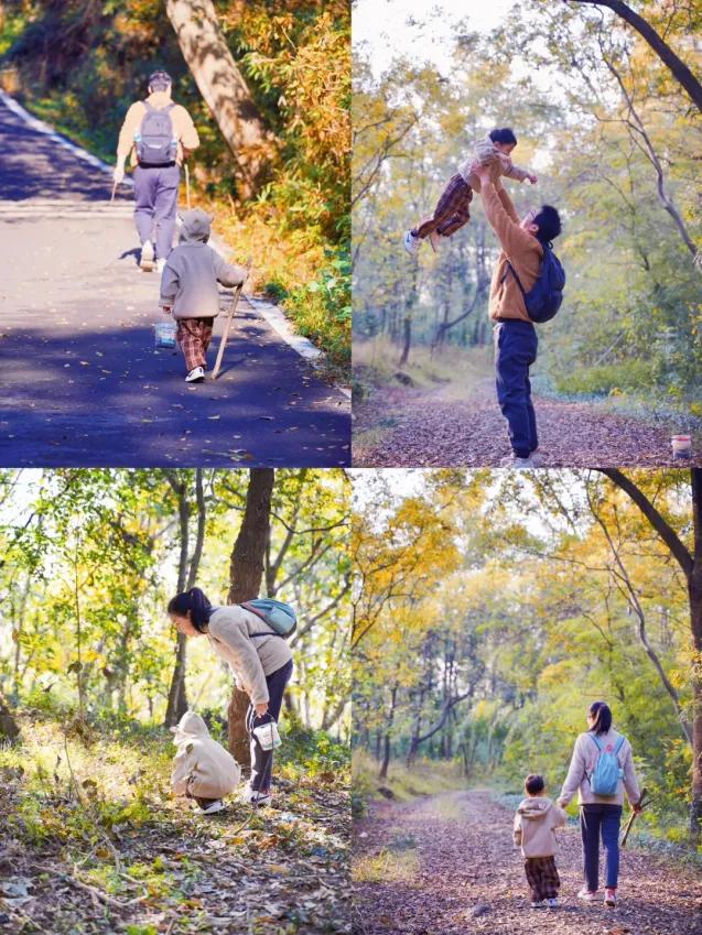国际山岳日|今天适合爬山~