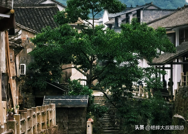 拥有1560间古建的浙江古村，八百年历史中，因“真实”渐成热门地