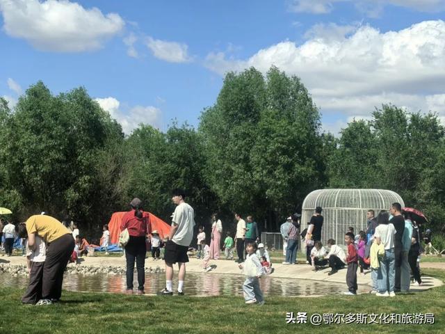 @你，鄂尔多斯植物园全攻略！暑期宝藏路线图！
