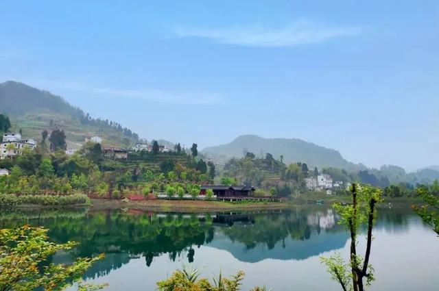 乡游黔中 · 德江县 桶井土家族乡丨乌江畔金菊漫山,秋韵正浓