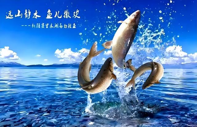 游新疆净海赛里木湖