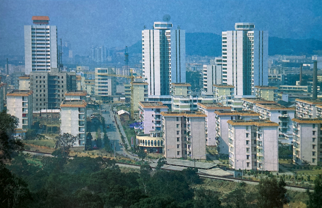 很惊艳：八十年代的厦门感觉整个城市都是公园啊