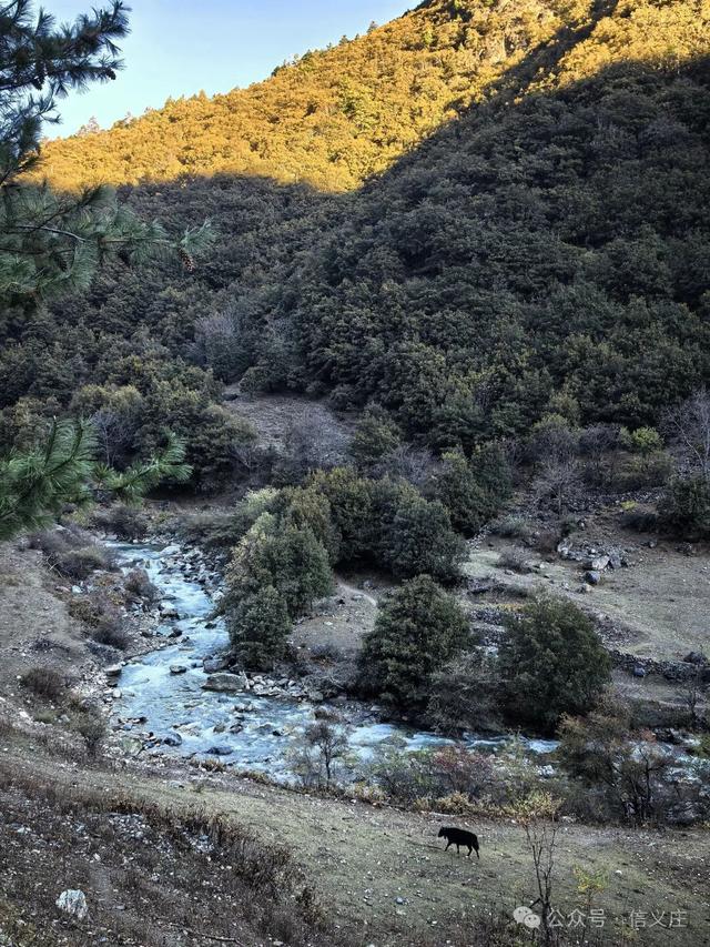 雨崩，一个让人语崩的地方（四）蹦蹦跳跳出雨崩
