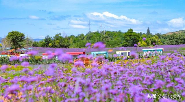 【醉美金秋 “乡”约清水】“双节”出玩指南 | 清水生态康养休闲之旅攻略来啦！