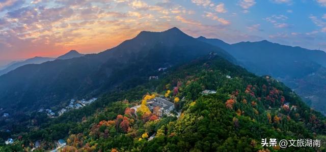 好想把自己扔进湖南这片秋景里