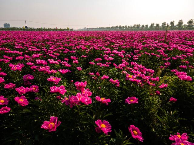 夫妻相处时，男人动不动就大喊大叫发脾气，你该如何做呢？