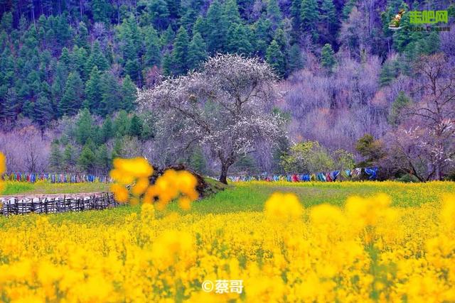 3 月旅行地推荐！这17 个地方春暖花开美到不像话，第一个直接心动