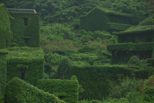 从你的全世界路过81：墟村浮光