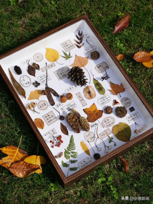 金色的苏州，开始了！