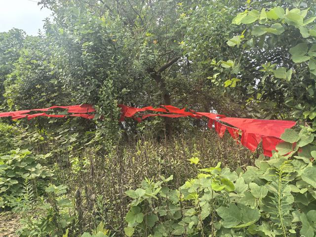 南京汤山龙尚湖青龙山佘村一日郊野徒步