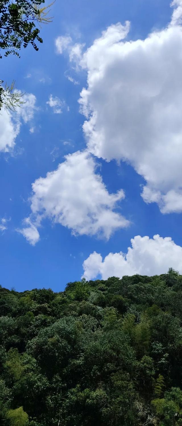 景瑶东行记