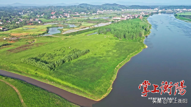 衡阳春日限定！收好这份踏青赏花打卡攻略~