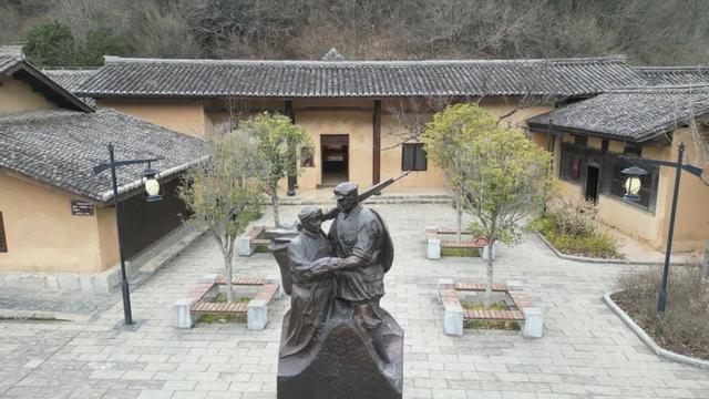 佛坪晚夏寻凉意，猫进秦岭躲避“秋老虎”！