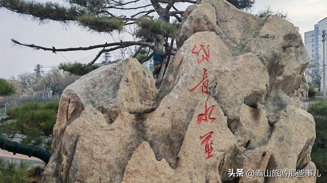 它是泰城微度假目的地，藏着一个网红打卡点，曝光量超300 +万次