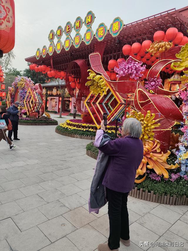 讲述我的写作故事43，《2025年开封赏菊记》。