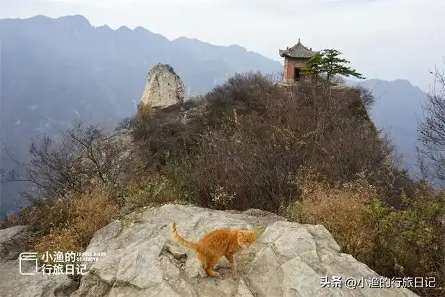 西安秦岭“野游”，这座休闲路线值得去！人少、路野、景美