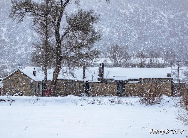 今日冬至，老人说“冷不冷，就看冬至”，今年冬天是暖冬吗？