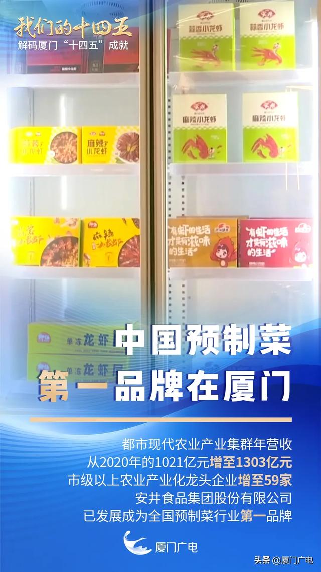 “绝绝紫”！厦门超大片紫风铃花海惊艳绽放！好拍还好玩~