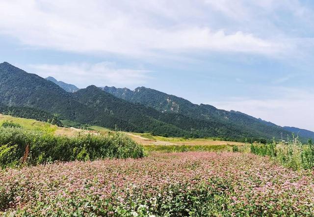 这个买一赠一被人嫌弃的县，却全境免费，倒成了西安人周末的最爱