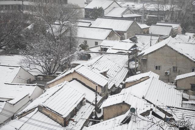 “上午立冬大雪封门，下午立冬单衣过冬”，今年几点立冬？冷冬吗