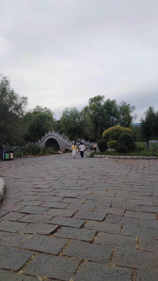 长春这有山摩肩擦踵，南湖公园绿树迎风
