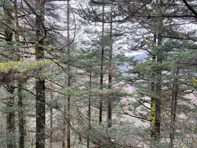 北京自驾长江三峡、神农架之旅（6）