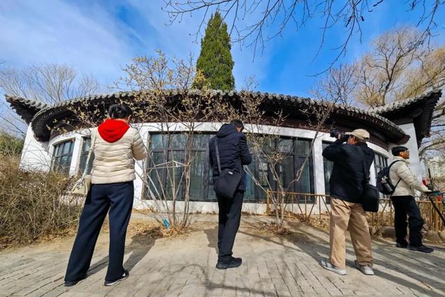 津门寻香，这里的花儿开好了！