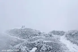 遵义雪景上新！仁怀芦竹山，下雪啦！图片