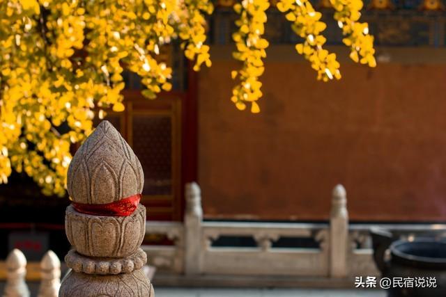 武汉不止这五千亩红叶，最大赏秋地绝了！