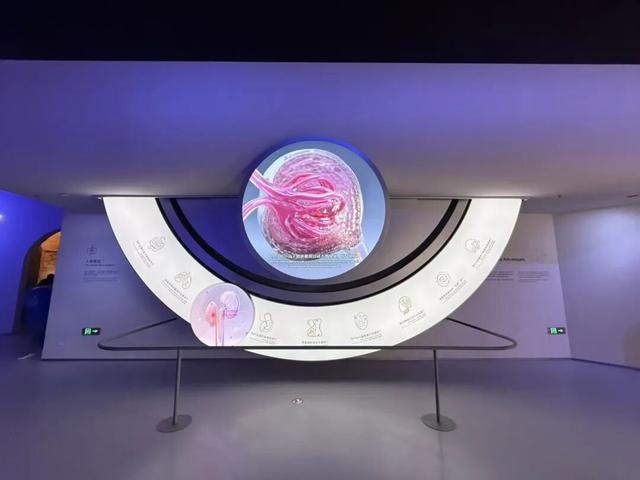 上海科技馆焕新升级，今天面向公众开启首场压力测试！小布带你探营→