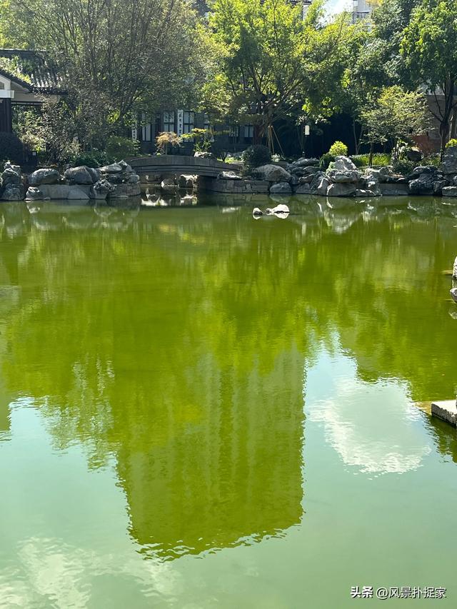 温州墨池公园，超好逛！